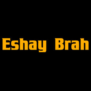 Eshay Brah - Colour Waist Bag Design