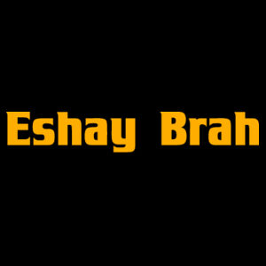 Eshay Brah - Colour Waist Bag Design